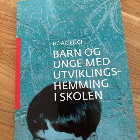 Barn og unge med utviklingshemmming i skolen