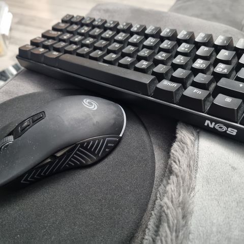 Tastatur og mus