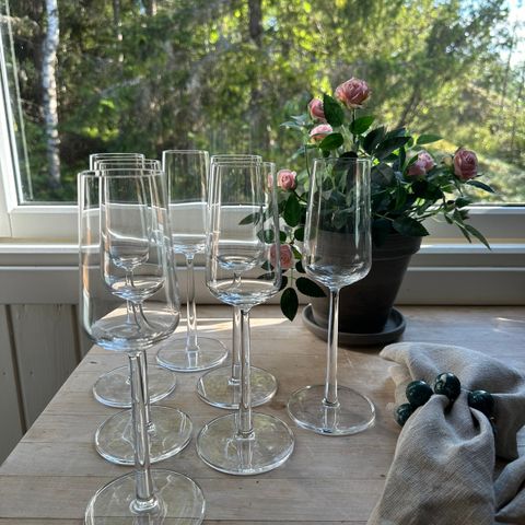 Iittala Essence Champagne glass