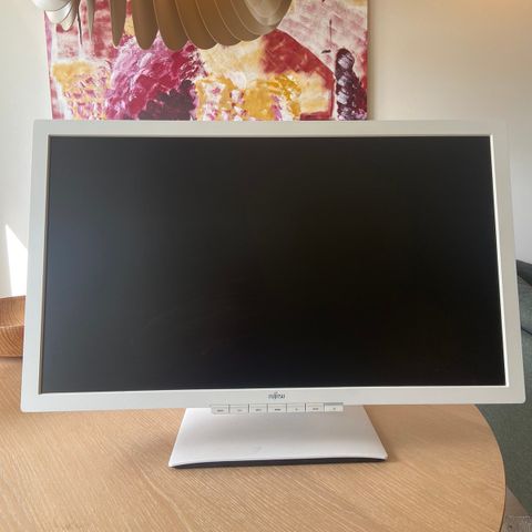 PC-skjerm / monitor