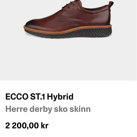 Dresssko // ECCO St. 1 Hybrid