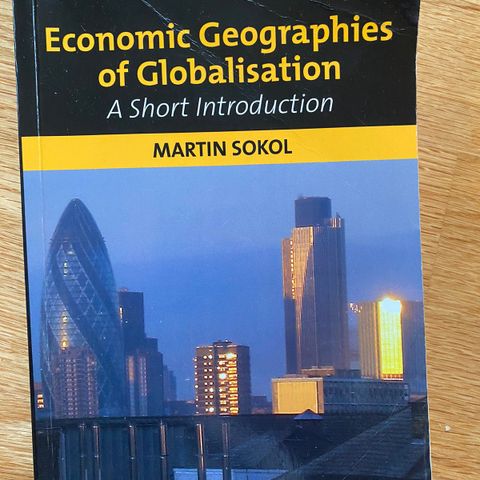 Economic geographies of globalisation -Martin Sokol