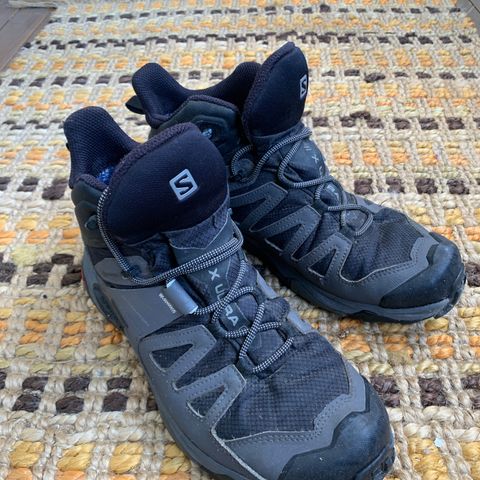 Salomon GTX