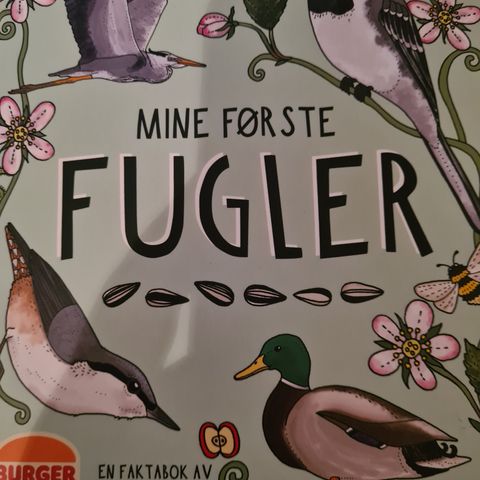 Fugler bok for barn