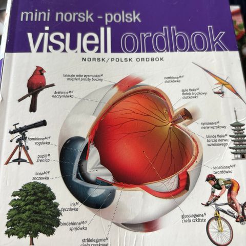 Norsk -polsk visuell ordbok