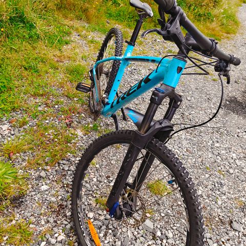 Trek Marlin 5 Azure blå