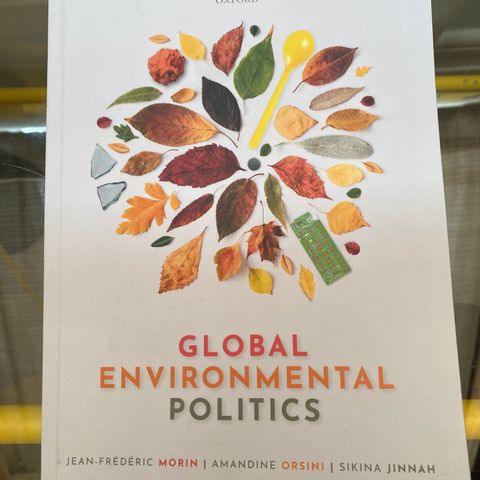 Global environmental politics