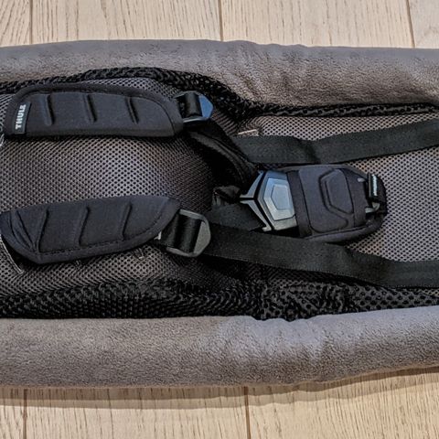 Thule chariot baby sling