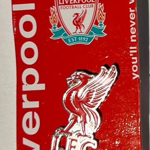 Liverpool Pin