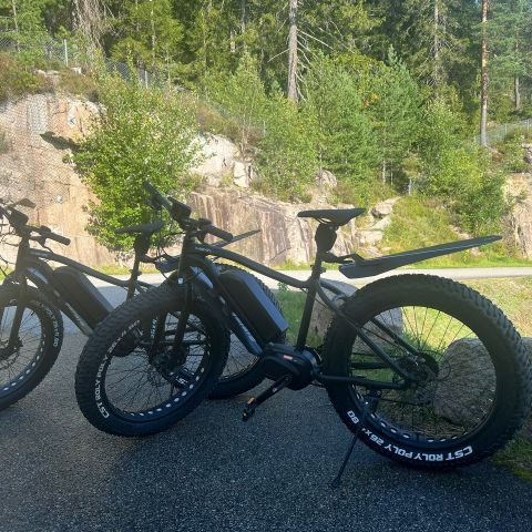 Momas F2, elektrisk fatbike med lav km!