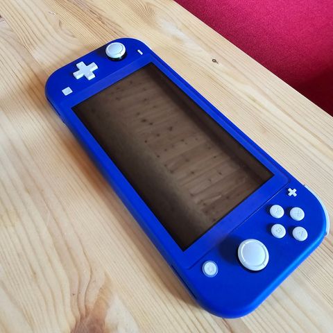 Nintendo switch lite