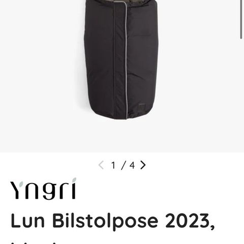 Yngri bilstolpose 2023