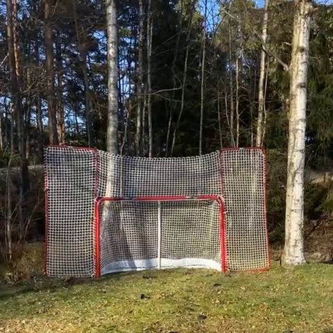 Hockeymål med backstop og target goalie