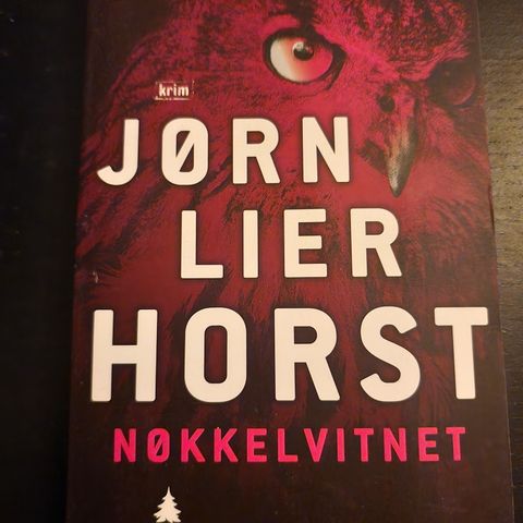 Nøkkelvitnet av Jørn Lier Holst