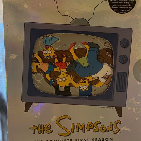 The Simpson the Complete First Season