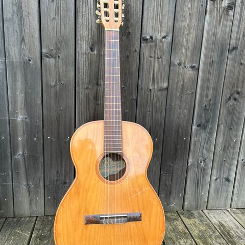 Giannini AWN 20 gitar fra Brasil