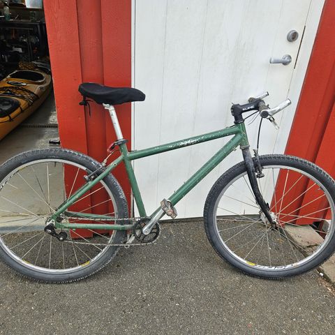 Gammel single speed Gecko