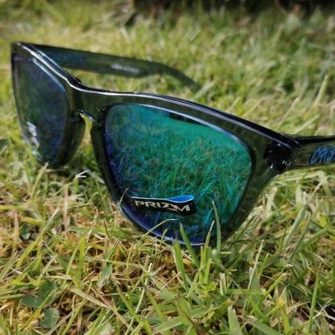 Oakley Frogskins Prizm Sapphire Polarized