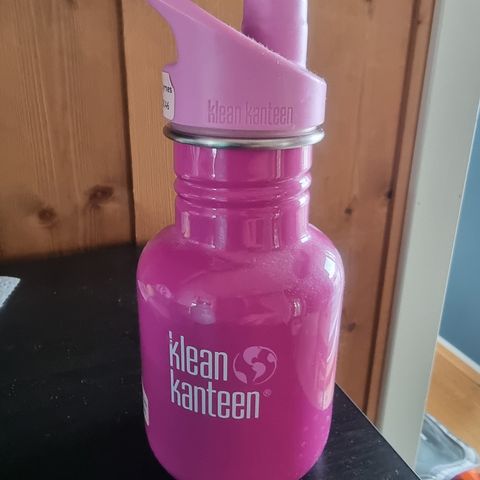 Kleen Kanteen