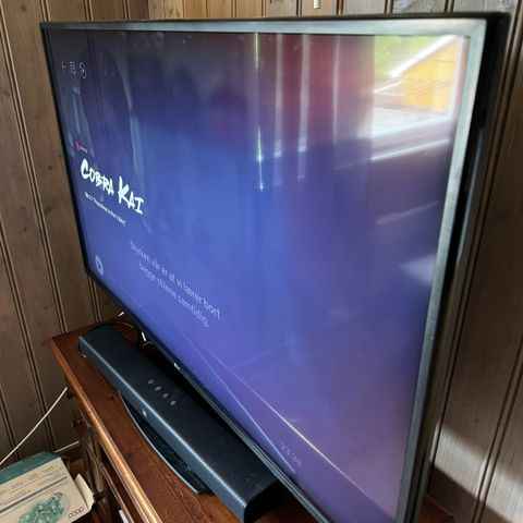 LG Smart TV 49t