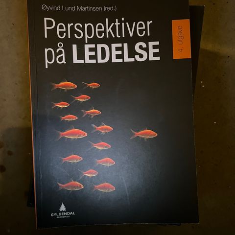 Perspektiver på ledelse