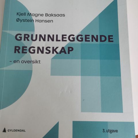 Grunnleggende regnskap