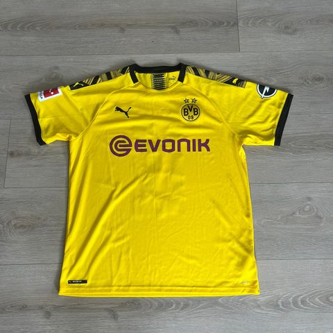 Borussia Dortmund 19/20- Haaland! SOM NY