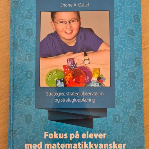 Fokus på elever med matematikkvansker