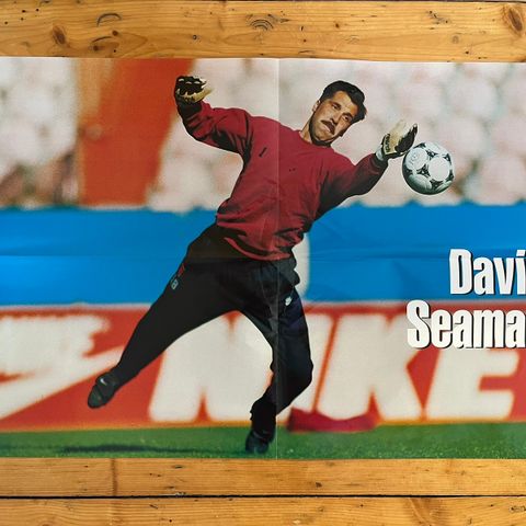 Plakat David Seaman A2