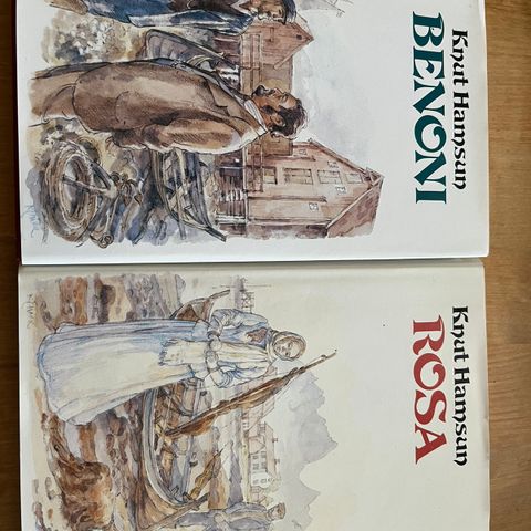 Knut Hamsun Benoni og Rosa