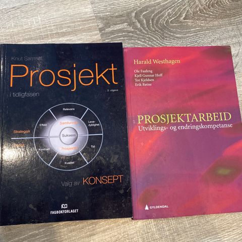 Prosjekt bøker (prosjektledelse)