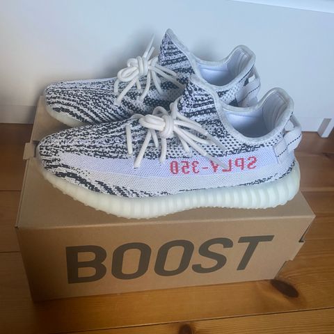 Yeezy Zebra strl 42