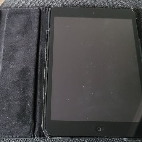 2 stk mini ipad selges