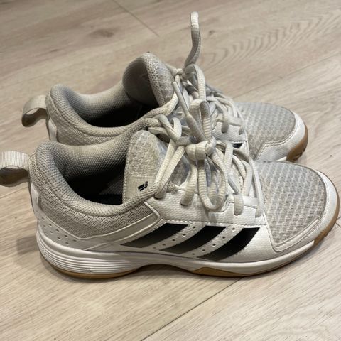 Adidas hallsko