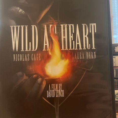 Wild at Heart