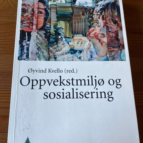 Oppvekstmiljø og sosialisering