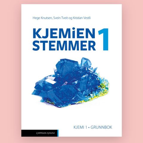 Kjemien stemmer 1 grunnbok