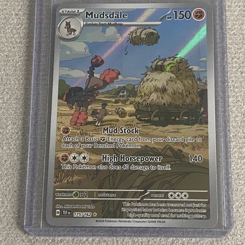 Mudsdale - 175/162 - SV05: Temporal Forces (TEF) Pokemon