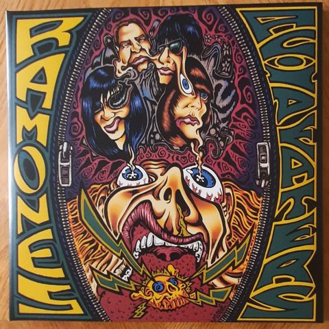 Ramones,acid eaters.vinyl.