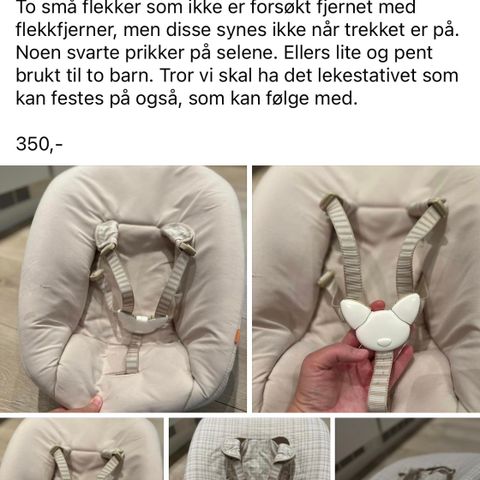 Stokke spedbarnssete