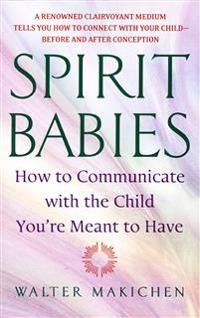 Bok:  Spirit Babies av Walter Makichen