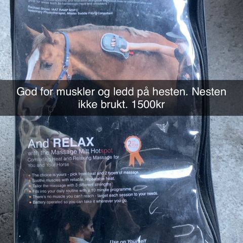 Massasje til hest