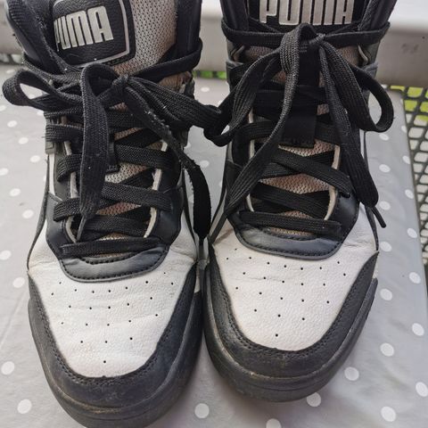 Puma sko str 40,5