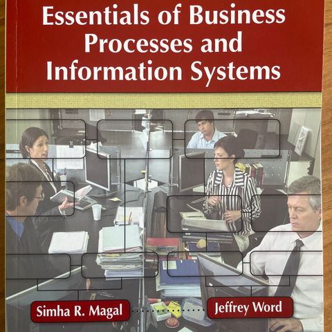 Essentials og Business Processes and Information Systems