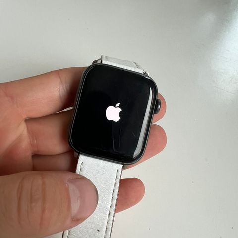 Apple watch