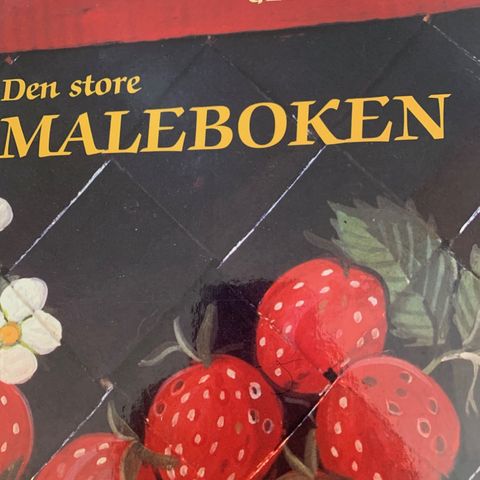 Den store maleboken av Gerd Alfsen