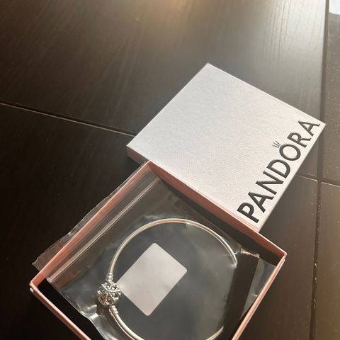 Pandora Moments Sparkling Snowflake Clasp Bangle