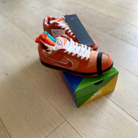 Nike sb dunk orange lobster