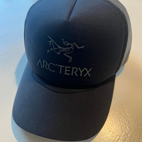 Arc’Teryx Bird Word Trucker Curved