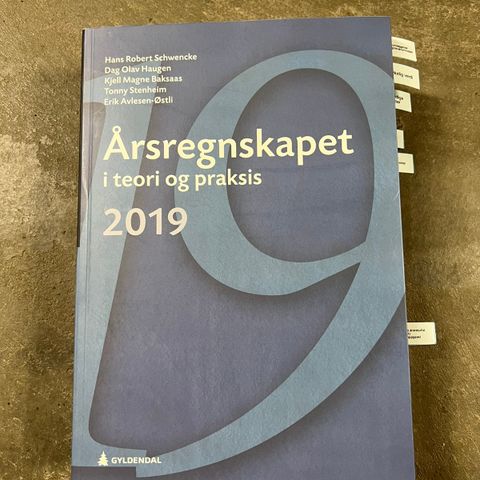 Årsregnskapet i teori og praksis 2019